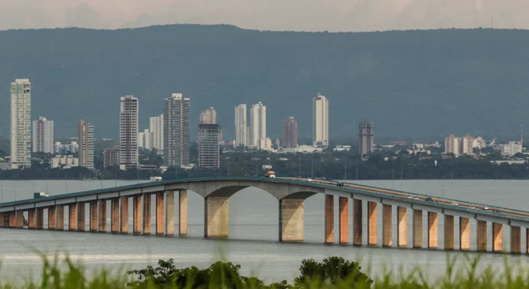 palmas